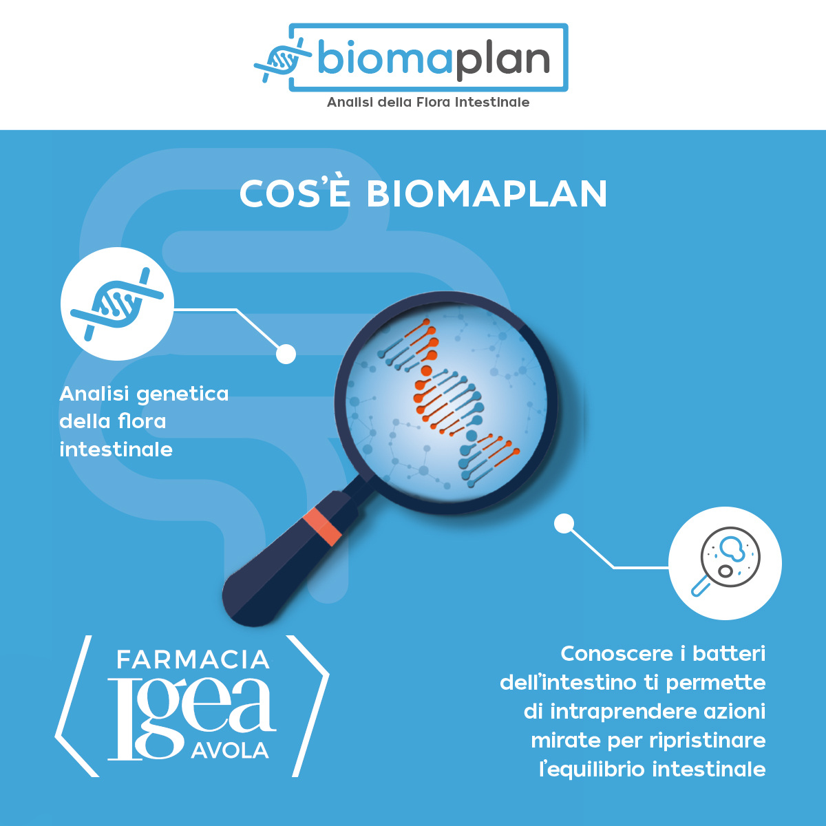 biomaplan-analisi-intestino